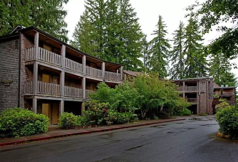 酒店 Lake Quinault Lodge