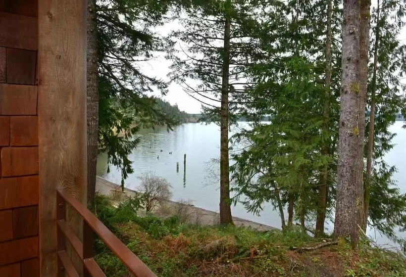 酒店 Lake Quinault Lodge