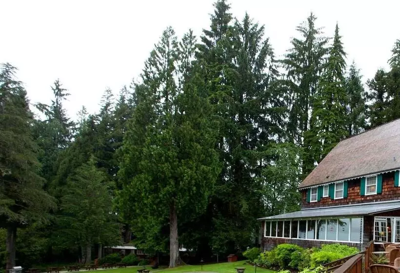 酒店 Lake Quinault Lodge