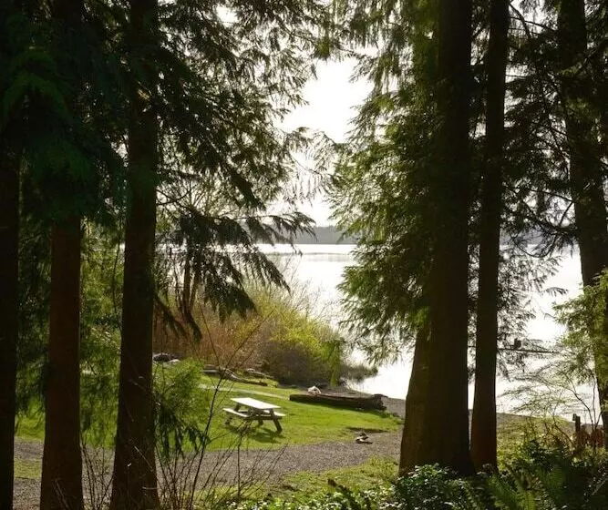 酒店 Lake Quinault Lodge