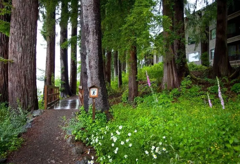 酒店 Lake Quinault Lodge