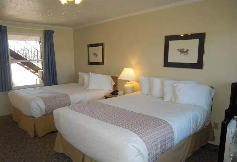 Мотель Arlington Inn