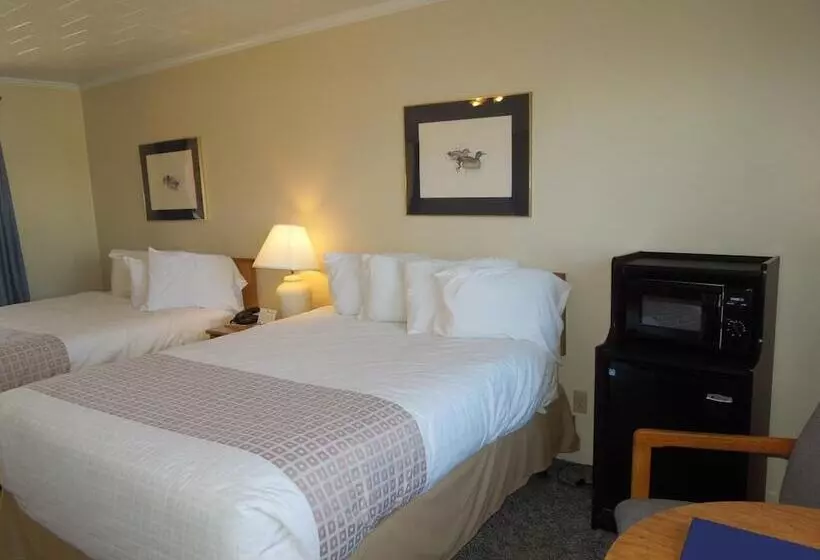 Мотель Arlington Inn