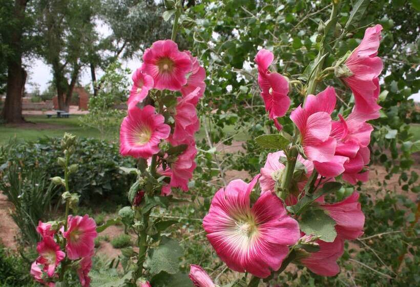 אתר נופש La Posada Hotel And Gardens