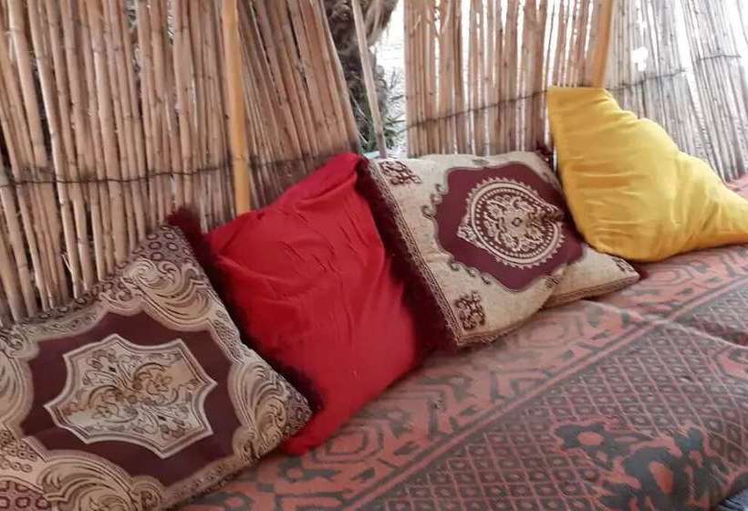 Hotel The Palm Grove