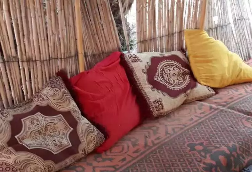 هتل The Palm Grove