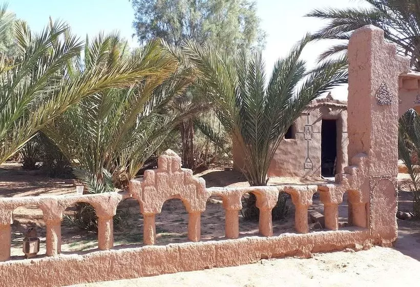 هتل The Palm Grove