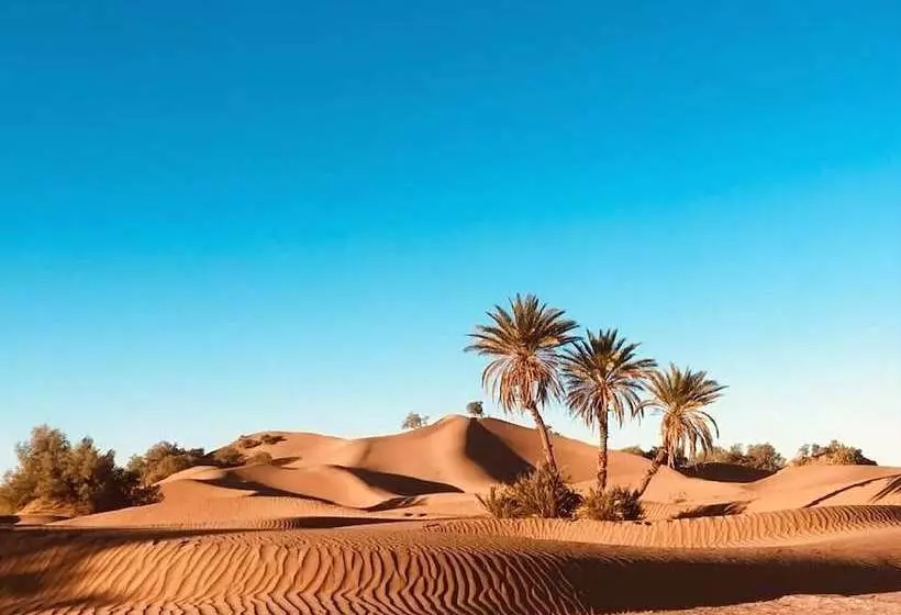 هتل The Palm Grove