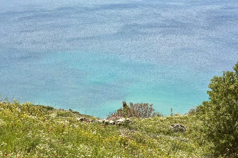 Agnanti Andros Apartments