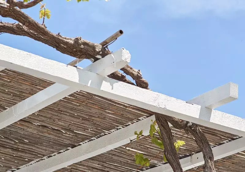 Agnanti Andros Apartments