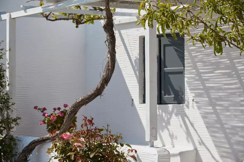 Agnanti Andros Apartments