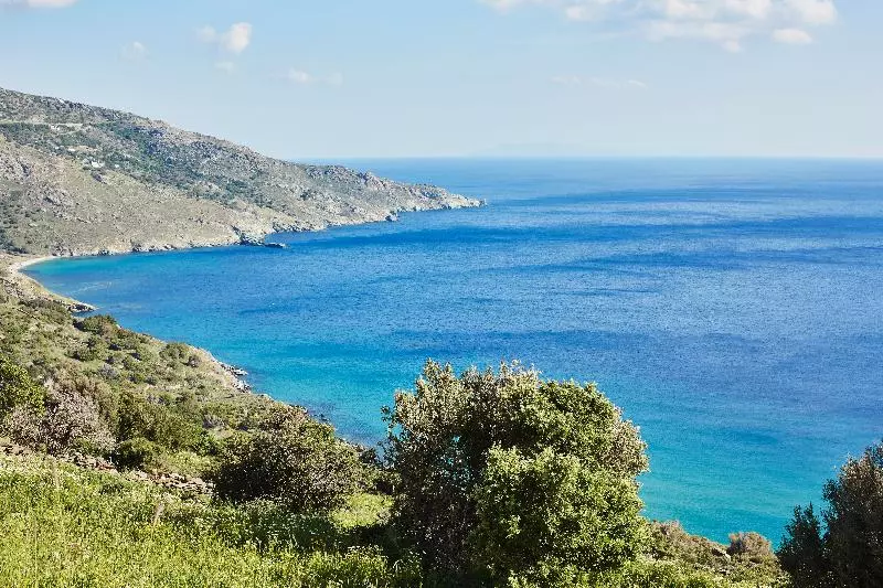 Agnanti Andros Apartments