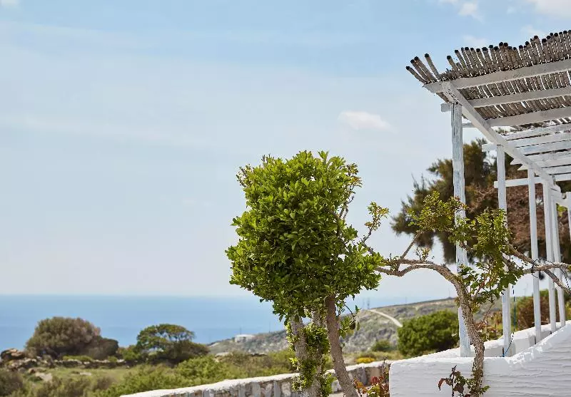 Agnanti Andros Apartments