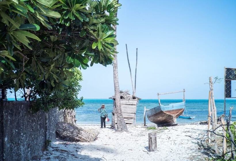 تختخواب و صبحانه Blue Roof Lodge Jambiani