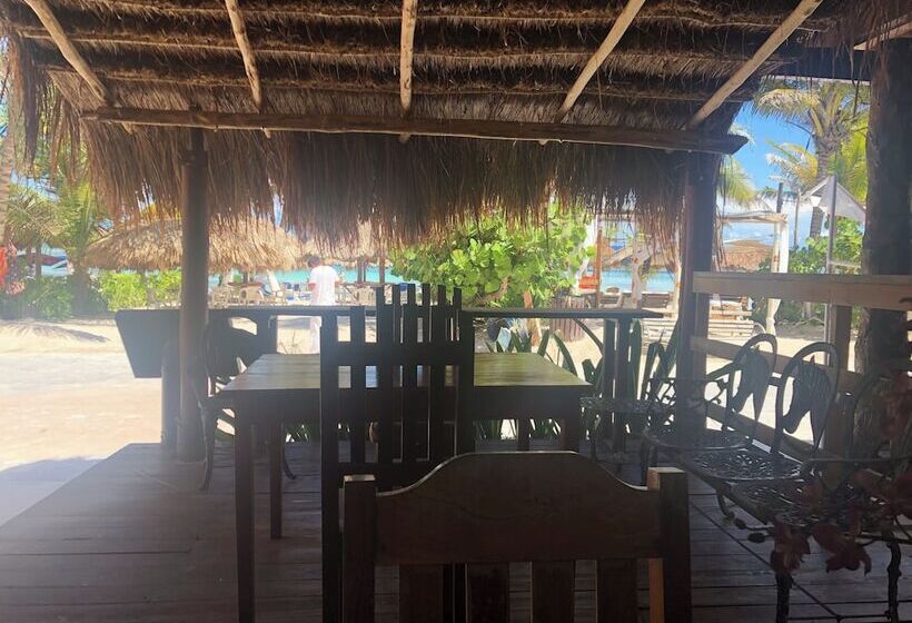 Szálloda El Caballo Blanco