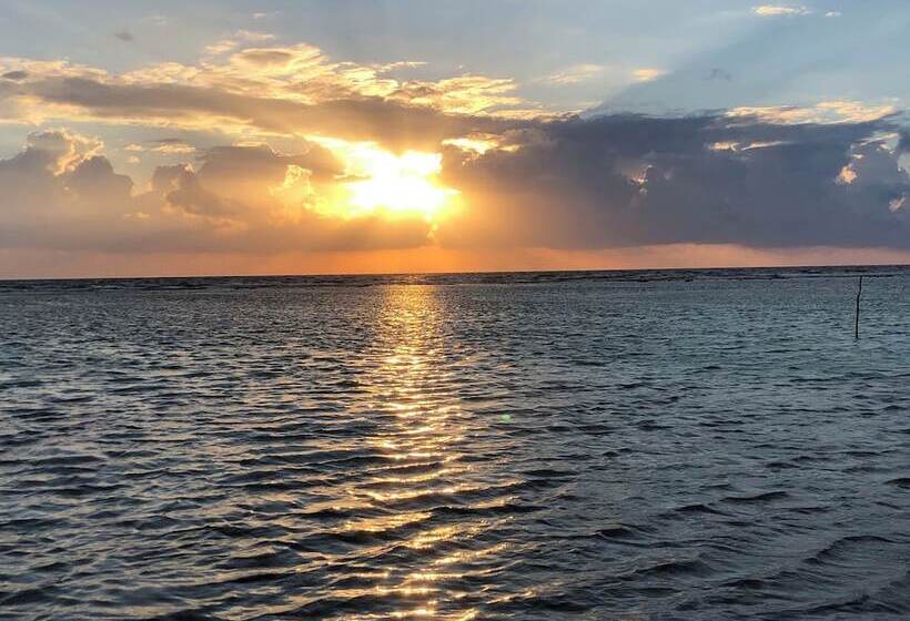 Szálloda El Caballo Blanco