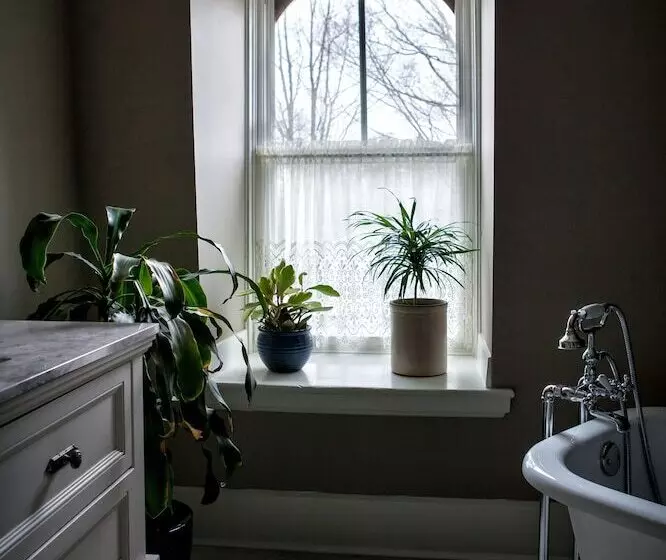 Maplehurst Manor Bed And Breakfast