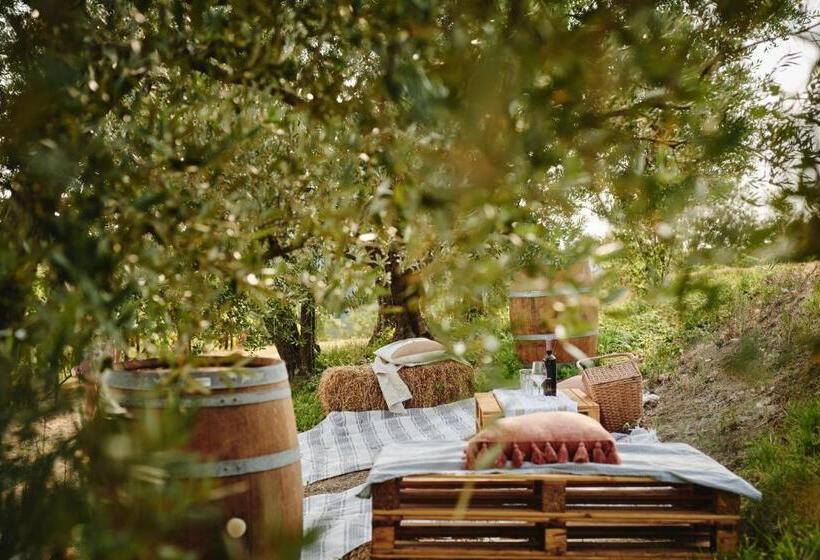 אתר נופש Villa Liverzano