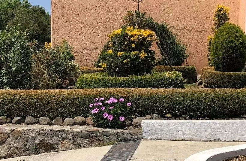 ホテル Finca San Fernando