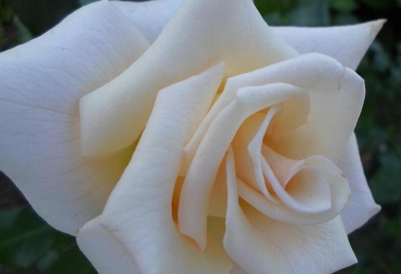 בית מלון כפרי Aan Den Weg