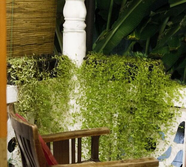 پانسیون Citystop