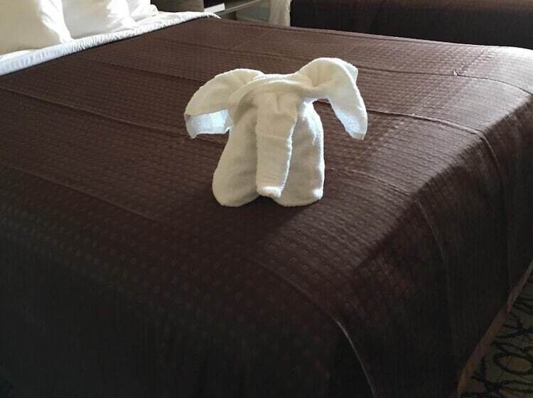 هتل Guest Inn Pigeon Forge