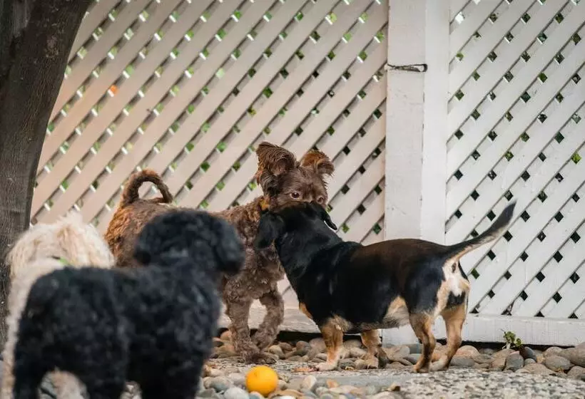 酒店 Madison Street Inn B&b