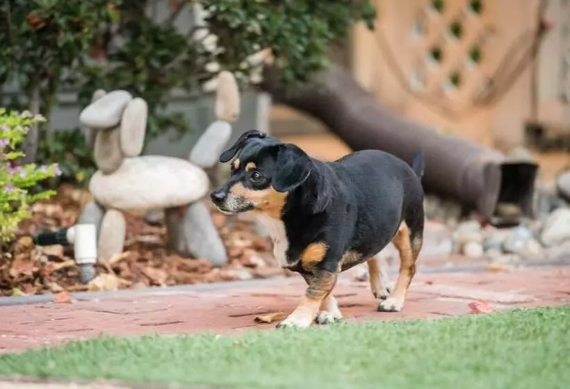 酒店 Madison Street Inn B&b