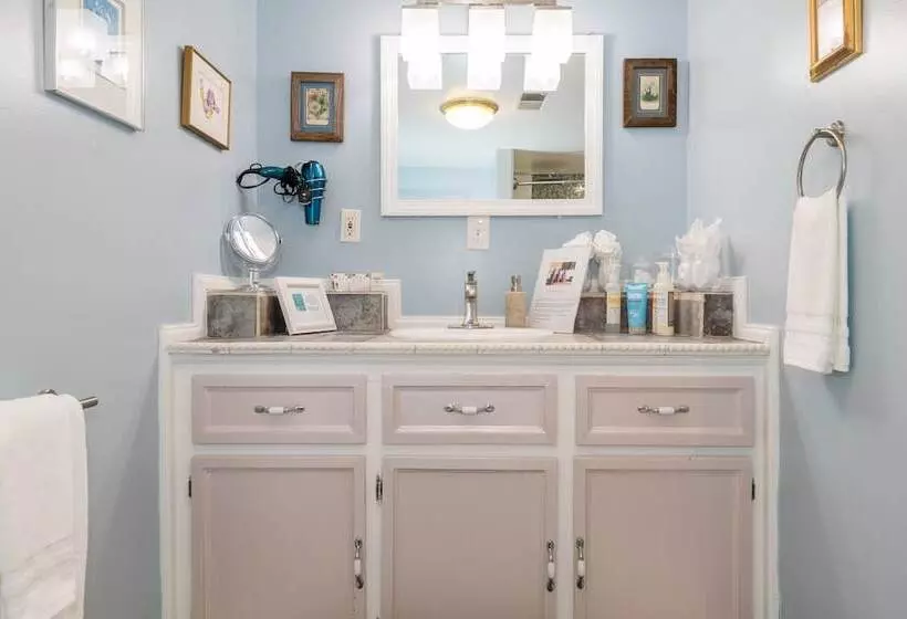 酒店 Madison Street Inn B&b