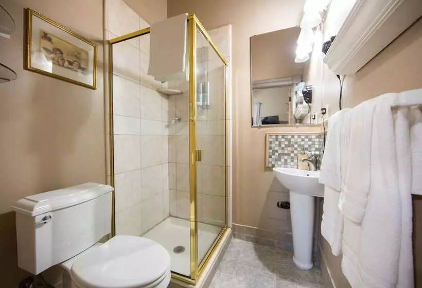 酒店 Madison Street Inn B&b