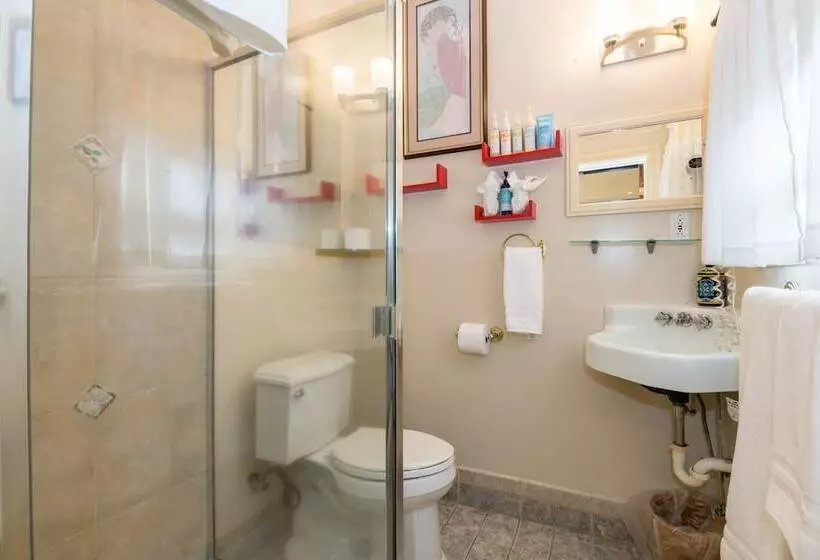 酒店 Madison Street Inn B&b