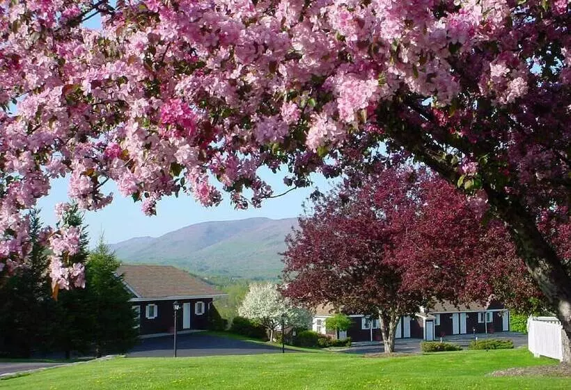 Szálloda Manchester View