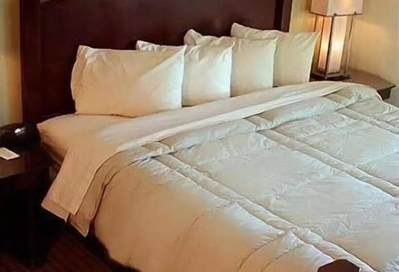 فندق Marvin S Garden Inn