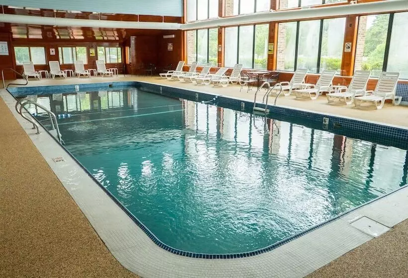 ホテル The Mariner Resort Cape Cod By The Red Collection