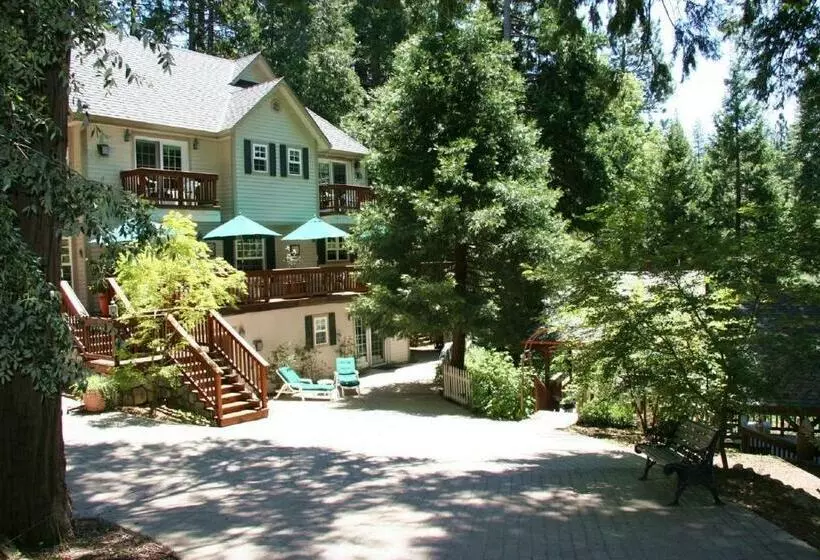 Mccaffrey House Bed And Breakfast Inn