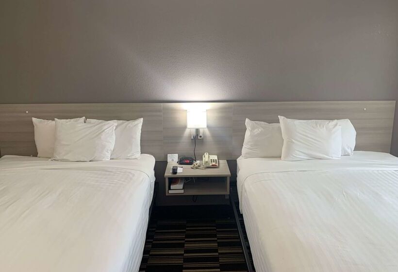 Microtel Inn By Wyndham Charlotte Airport