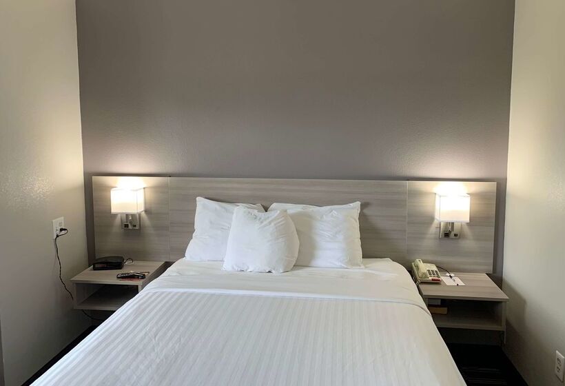 Microtel Inn By Wyndham Charlotte Airport