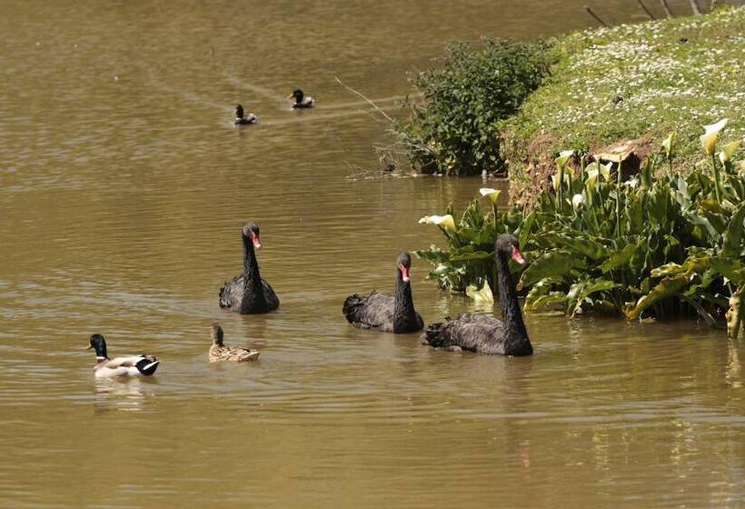 צימר Suite Souplex Château Côte De Nacre