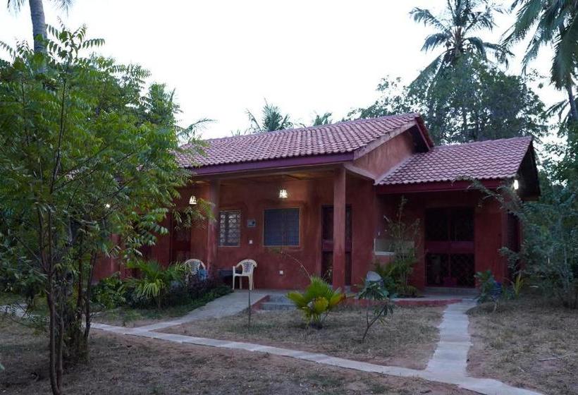 تختخواب و صبحانه Mangrove View