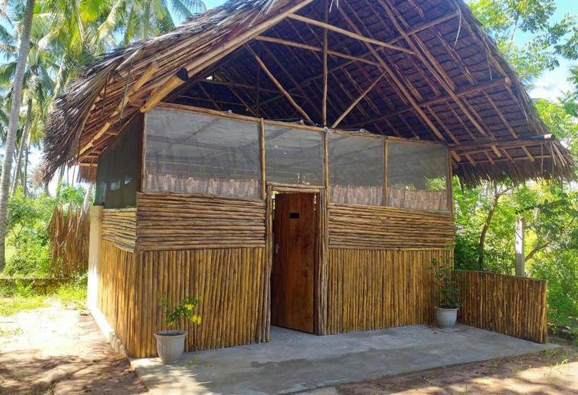 تختخواب و صبحانه Mangrove View