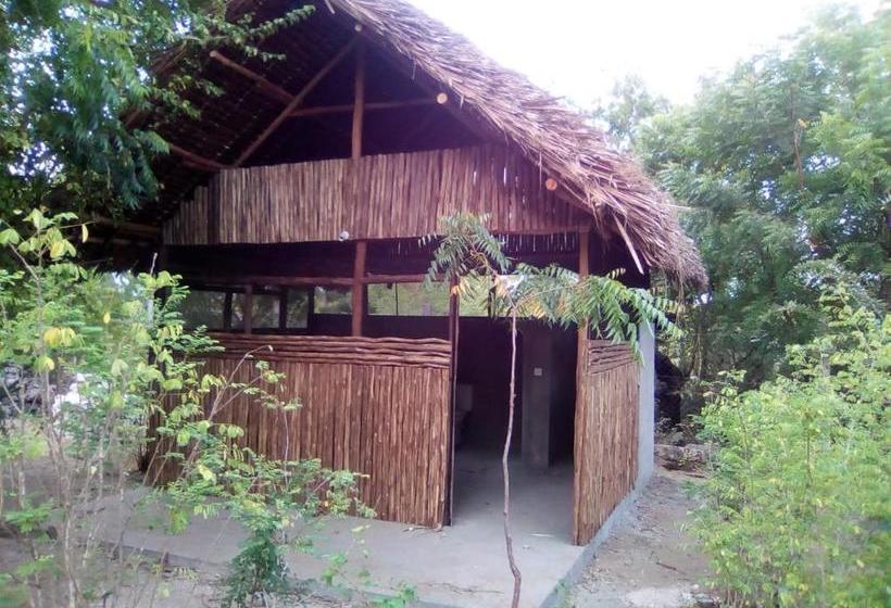 تختخواب و صبحانه Mangrove View
