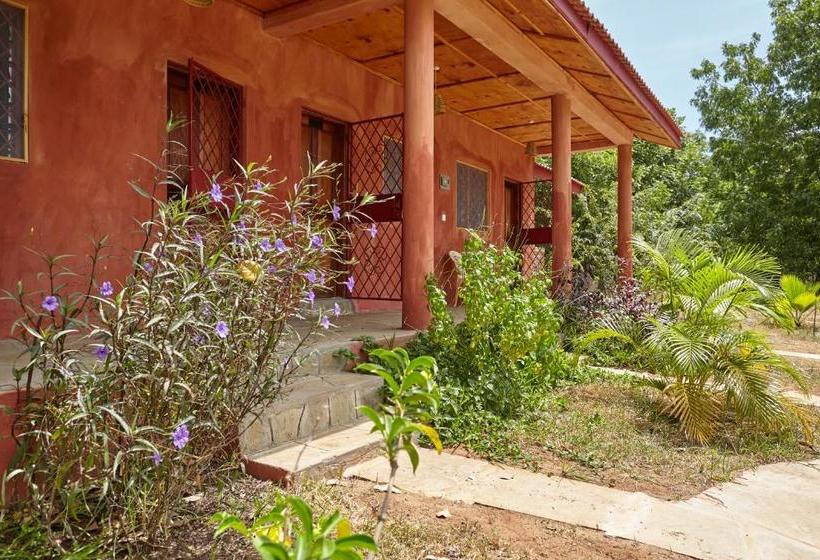 تختخواب و صبحانه Mangrove View