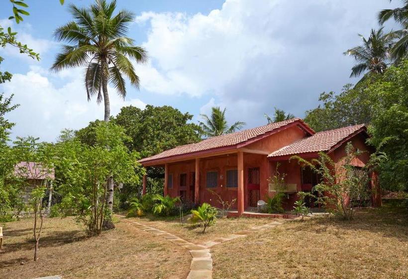 تختخواب و صبحانه Mangrove View
