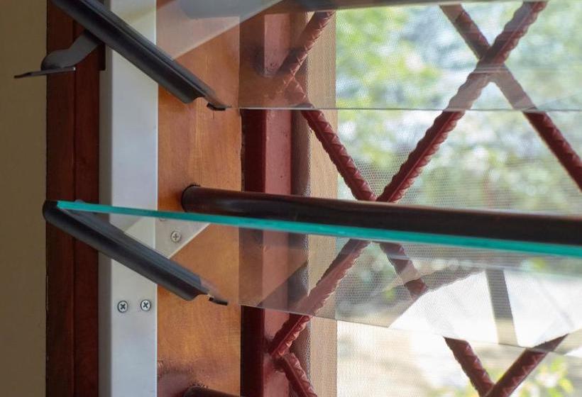 تختخواب و صبحانه Mangrove View