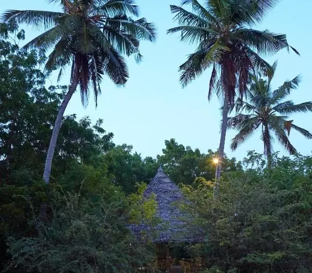 تختخواب و صبحانه Mangrove View