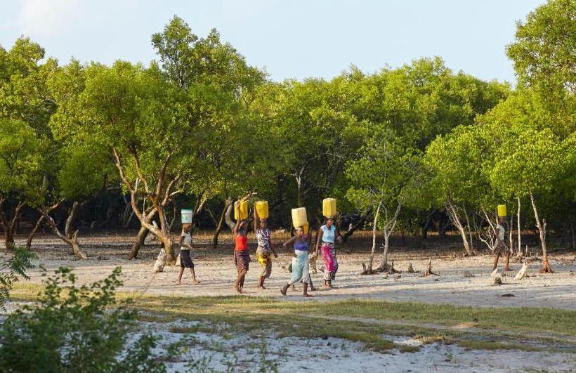 تختخواب و صبحانه Mangrove View