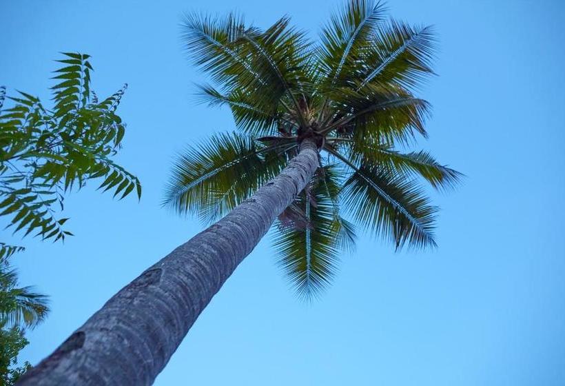 تختخواب و صبحانه Mangrove View