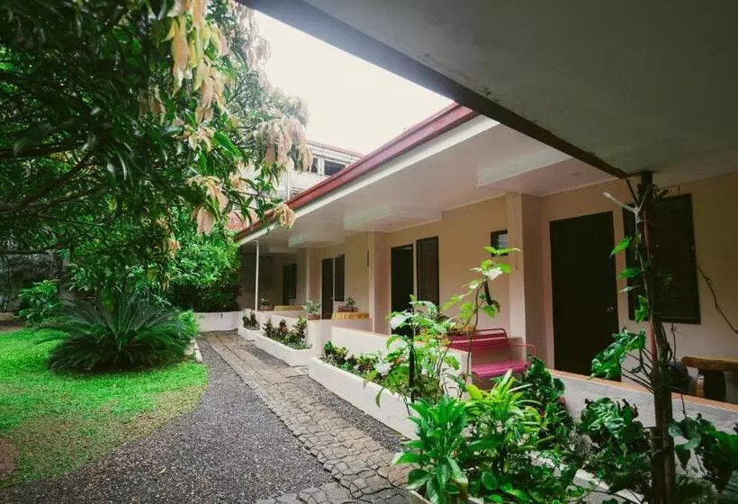 Pension  Jorge Transient House