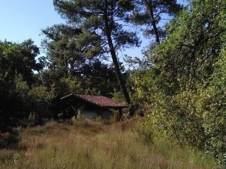 بنسيون L'atelier Du Grison