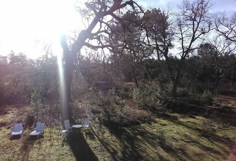 بنسيون L'atelier Du Grison